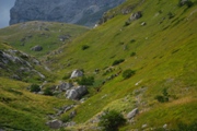 Clicca qui per vedere l'immagine in dettaglio